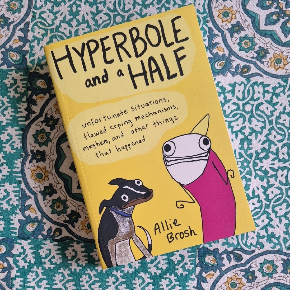 Hyperbole and a Half by Allie Brosh (paperback book)